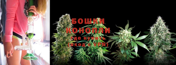 гидропоника Алзамай